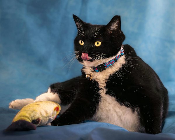 Strategien für lokale Lebensmittelhändler: Online-Marktplätze effektiv nutzen, um den Vertrieb zu fördern